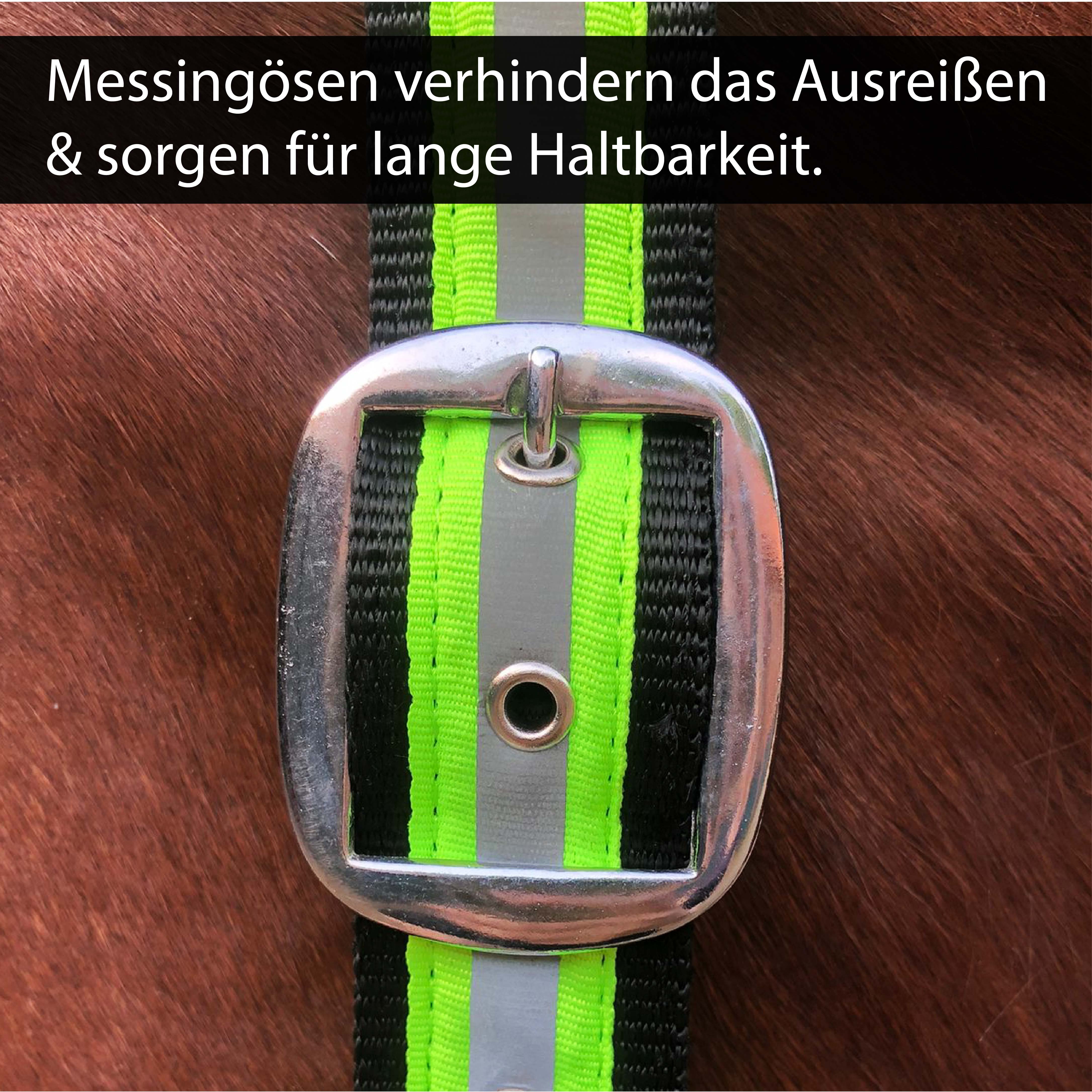 Reflexhalfter Kaltblut für Sichtbarkeit & Sicherheit